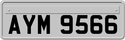 AYM9566