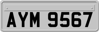 AYM9567