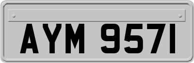 AYM9571