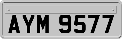 AYM9577