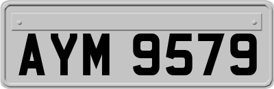 AYM9579
