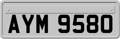 AYM9580
