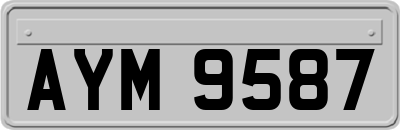 AYM9587