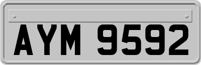AYM9592
