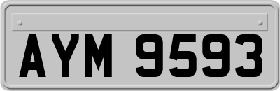 AYM9593