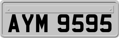 AYM9595