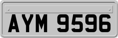 AYM9596