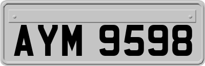 AYM9598