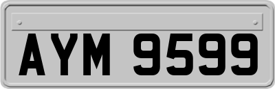 AYM9599
