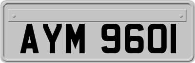AYM9601