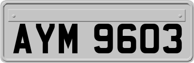 AYM9603