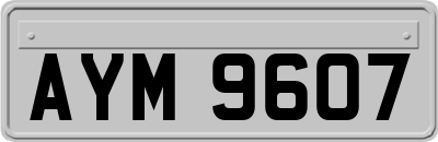 AYM9607