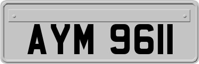 AYM9611