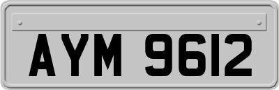 AYM9612