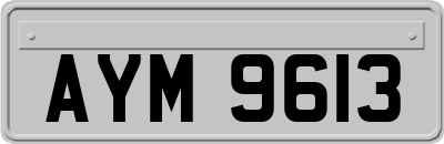 AYM9613