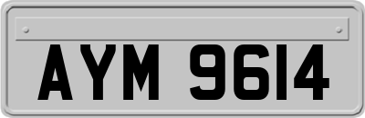AYM9614