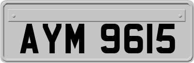 AYM9615