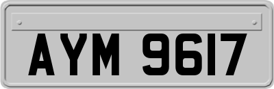 AYM9617