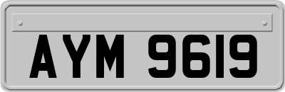 AYM9619