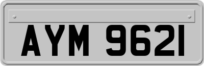 AYM9621