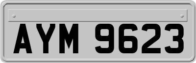 AYM9623