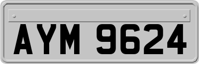 AYM9624