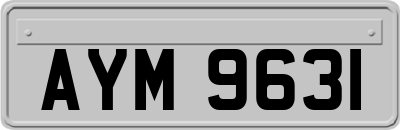 AYM9631