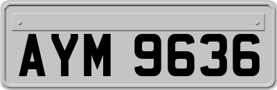 AYM9636