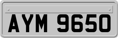 AYM9650
