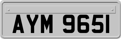 AYM9651