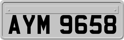 AYM9658