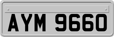 AYM9660