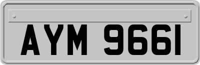 AYM9661