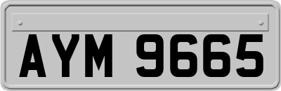 AYM9665