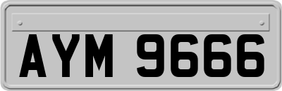 AYM9666