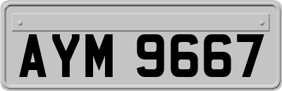 AYM9667