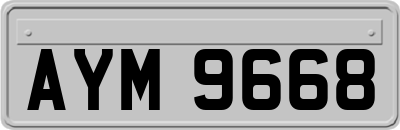 AYM9668