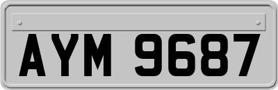 AYM9687