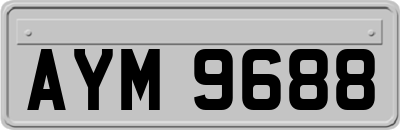 AYM9688