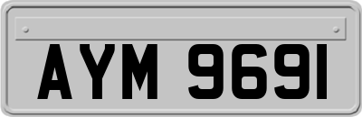 AYM9691