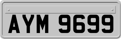 AYM9699