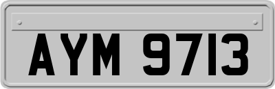 AYM9713