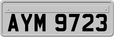 AYM9723
