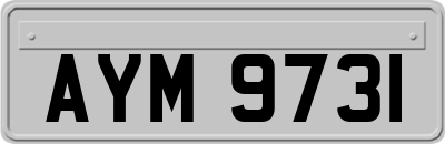 AYM9731