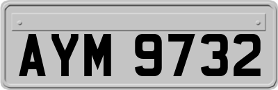 AYM9732
