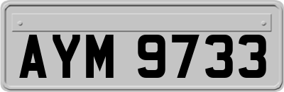 AYM9733
