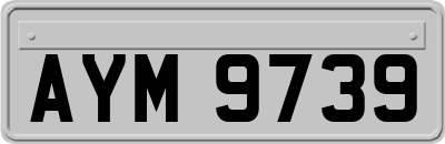 AYM9739