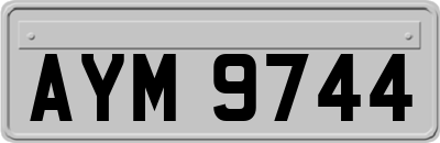 AYM9744