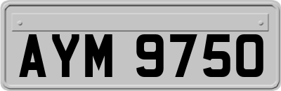 AYM9750