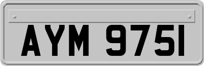 AYM9751